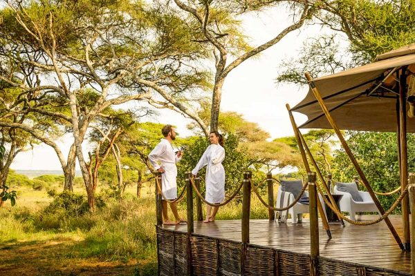 african-wildlife-luxury-safari